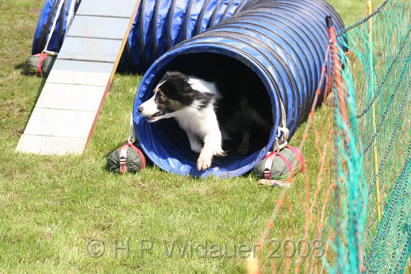 jubil.lusten. 269.jpg